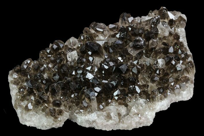 Dark Smoky Quartz Crystal Cluster - Brazil #124581